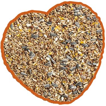Mélange de graines pour oiseaux du jardin - 750gr - Pour toutes les saisons  - Aliment