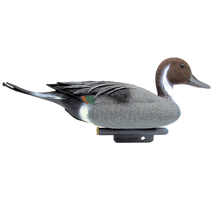 Canard pilet mâle - L48 cm