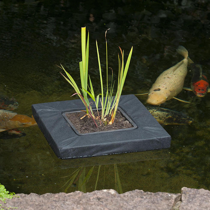 SWIMPLANT - île flottante pour plantes aquatiques, carrée, convient pour 1376037 (H11x11x11 cm) - 20 x 20 cm