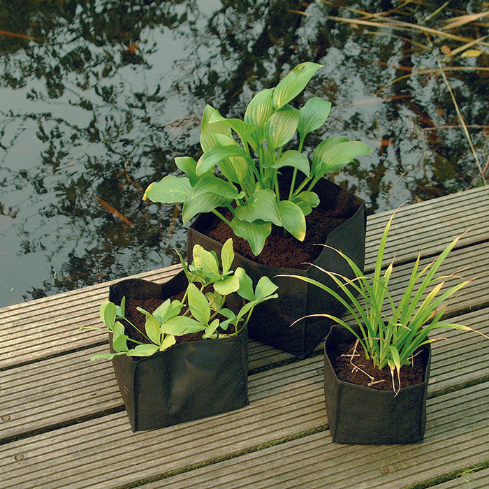 CAREPLANT - Saches pour plantes de bassin, carrée - H25 x 30 x 30 cm