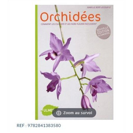 Orchidées - Comment les cultiver et les faire fleurir facilement