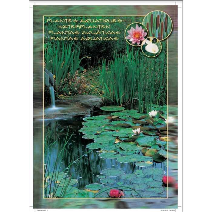 FOUDEBASSIN.COM PLANTES AQUATIQUES GUIDE DES PLANTES AQUIFLOR 77674811 AQPLB00015