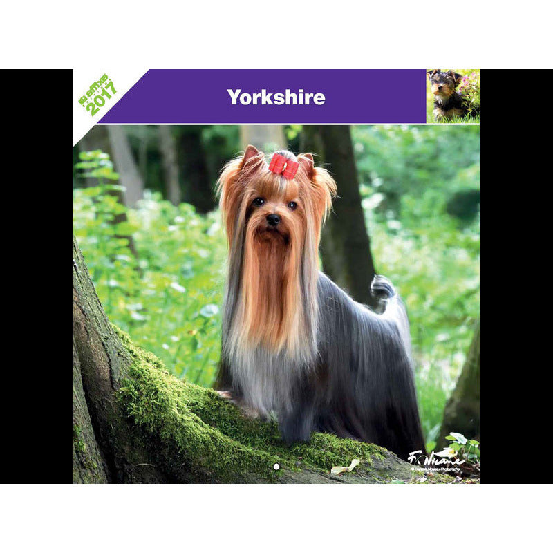 YORKSHIRE